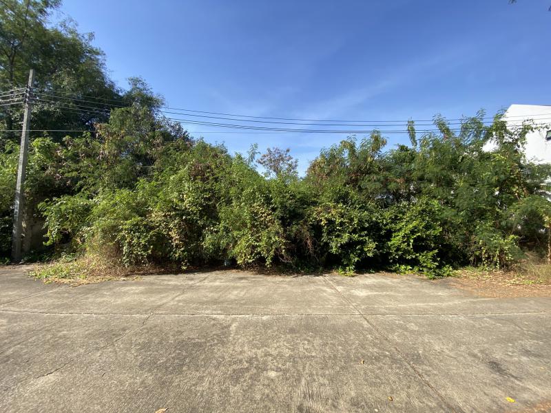 ที่ดิน 11000000 กรุงเทพมหานคร เขตบางแค บางแค