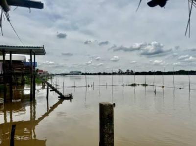 ที่ดิน 12990000 ปทุมธานี สามโคก สามโคก