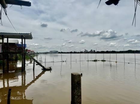 ที่ดิน 12990000 ปทุมธานี สามโคก สามโคก