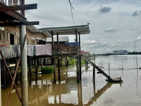 ที่ดิน 12990000 ปทุมธานี สามโคก สามโคก