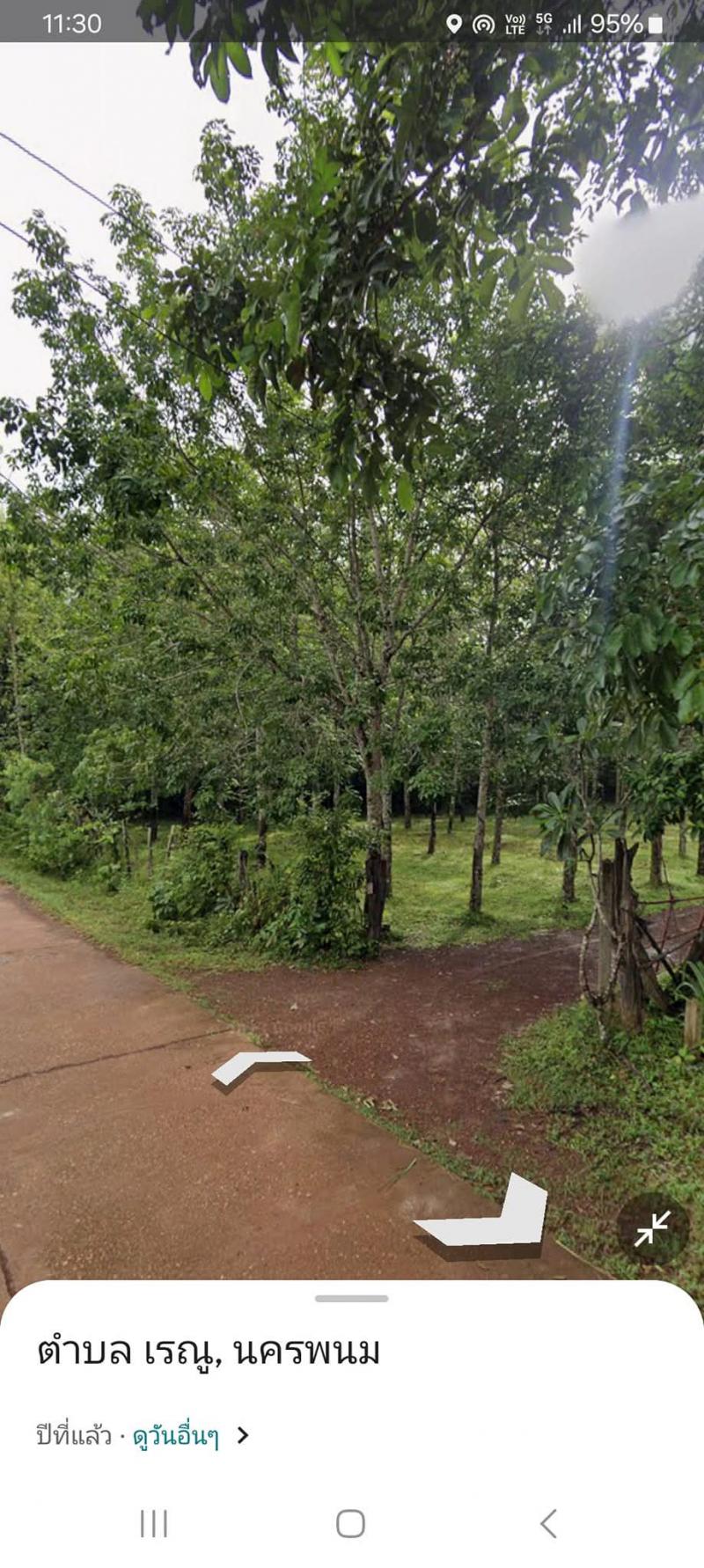 ที่ดิน 600000 นครพนม เรณูนคร เรณู