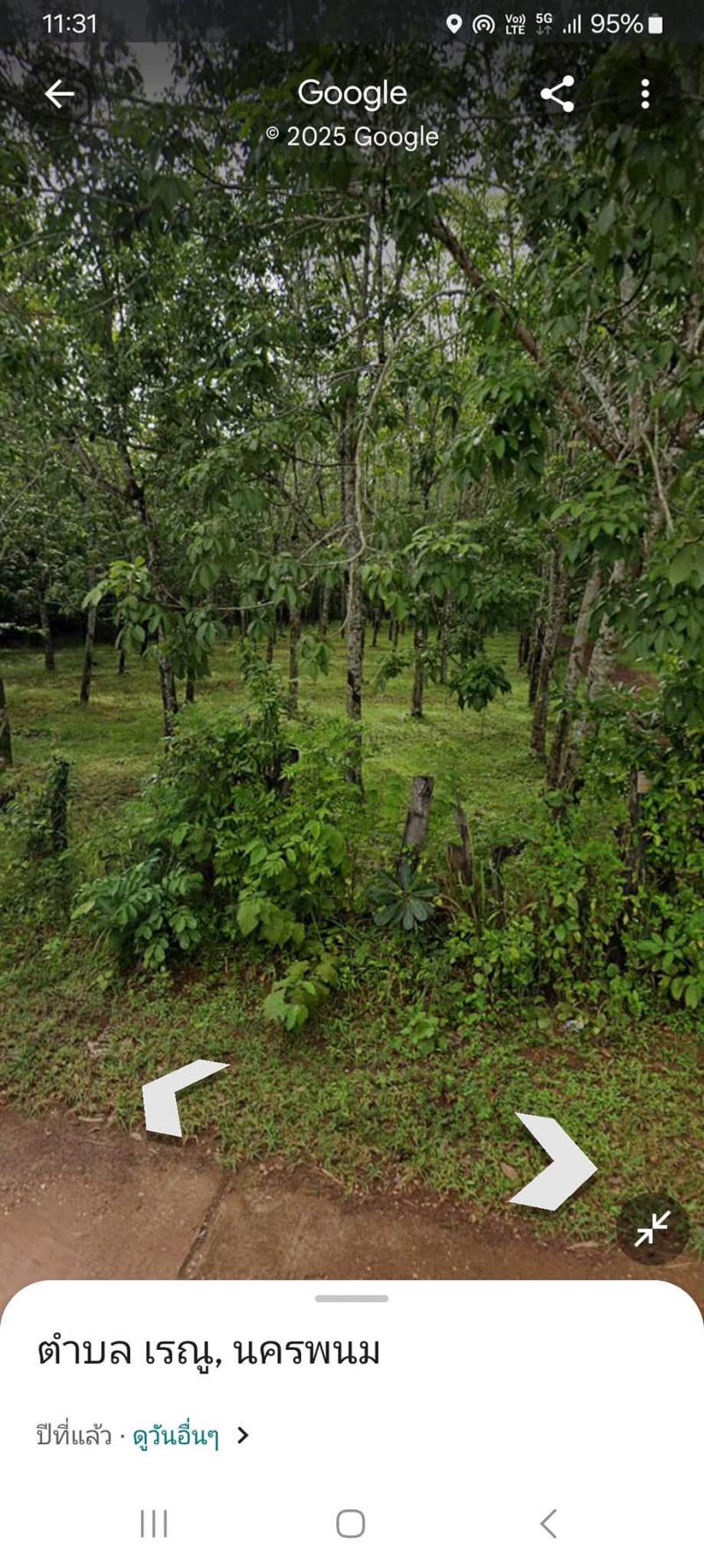 ที่ดิน 600000 นครพนม เรณูนคร เรณู