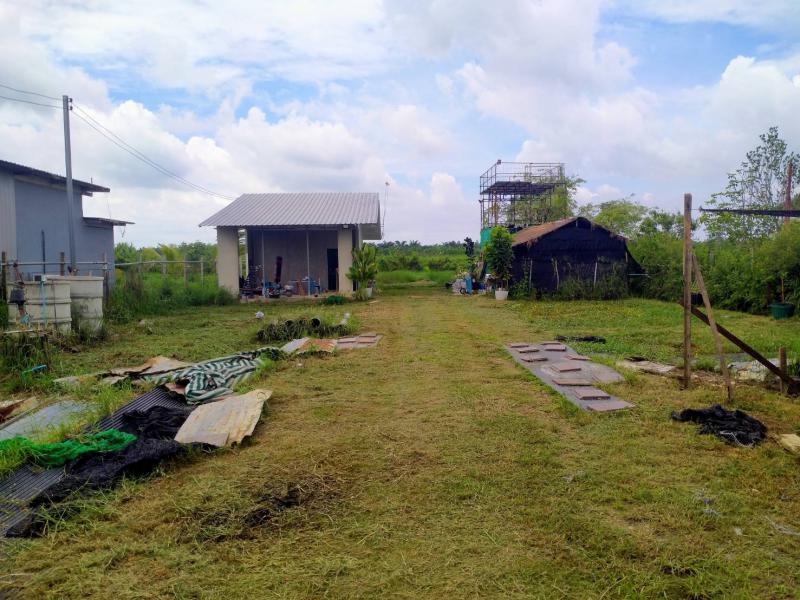 บ้านพร้อมที่ดิน 1900000 ปทุมธานี หนองเสือ หนองสามวัง