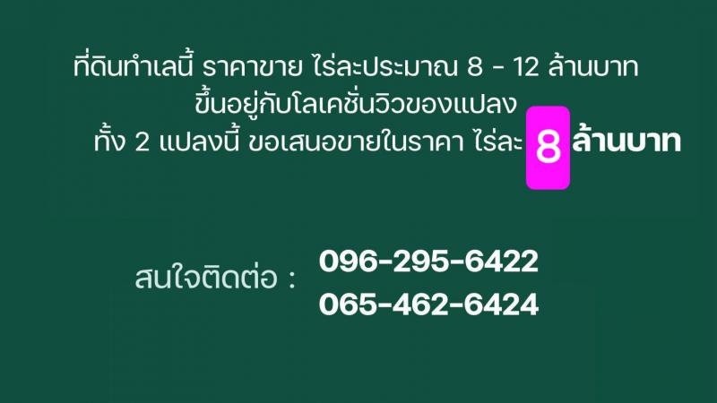 ที่ดิน 71360000 นครราชสีมา ปากช่อง พญาเย็น